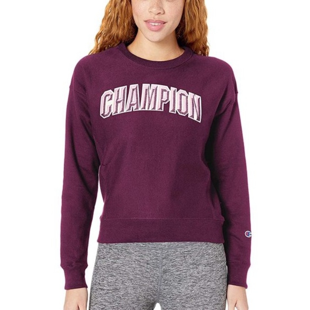 champion reverse weave block arch sweatshirt